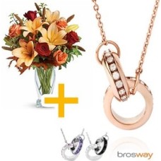 Brosway Necklace Offer (Curated)